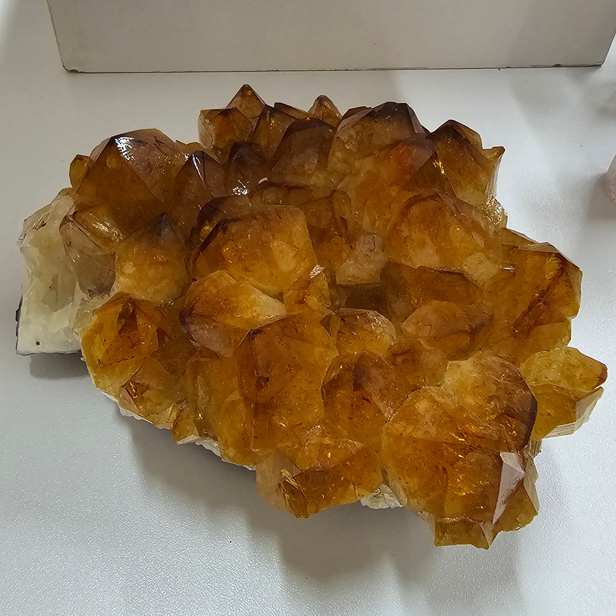 CITRINE (3)