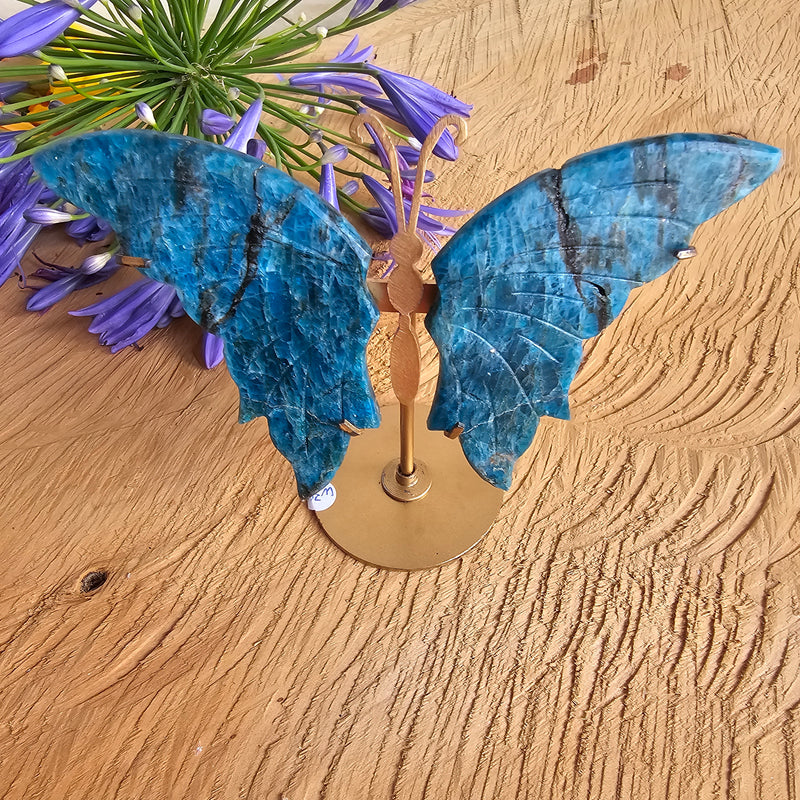 Blue Apatite Crystal Butterfly