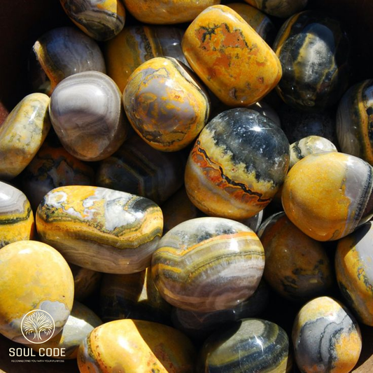 Bumblebee Jasper TumbleStone