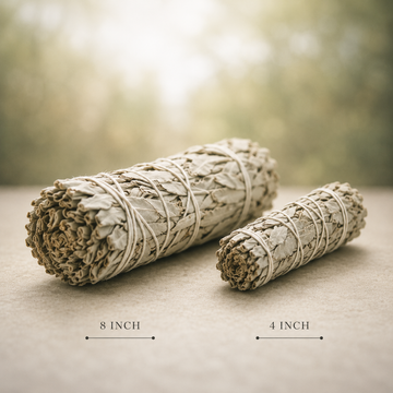 XL (8 Inch) White Sage Smudge Stick