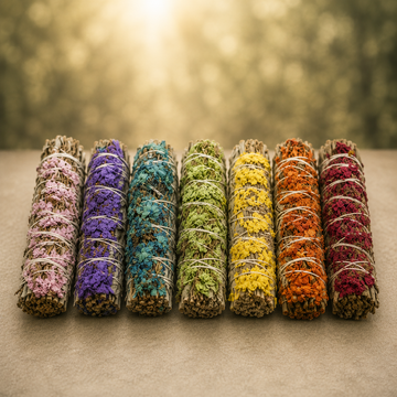 Chakra Sinuata & White Sage Smudge Stick