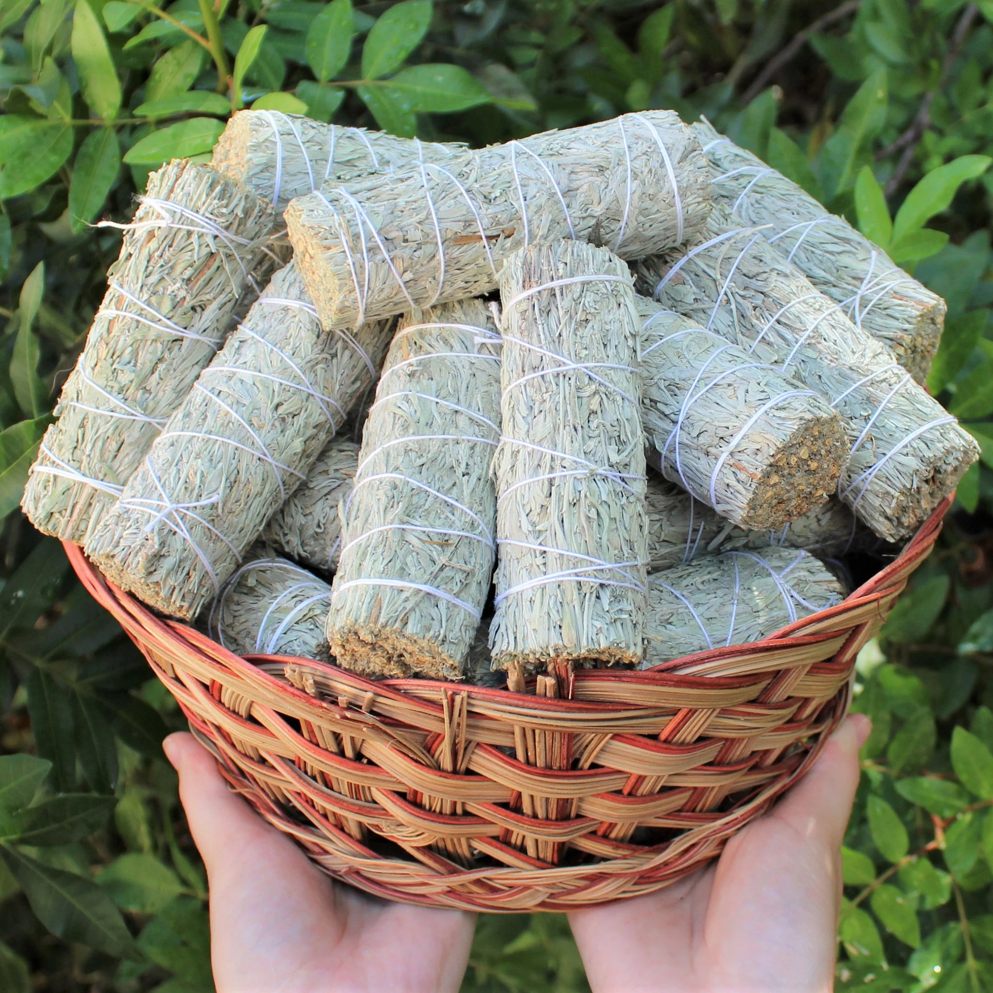 Mountain Sage (Blue Sage) & Copal Resin