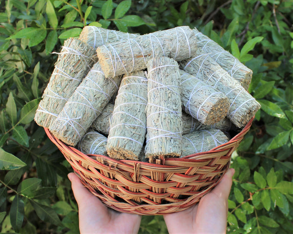 Mountain Sage (Blue Sage) & Copal Resin