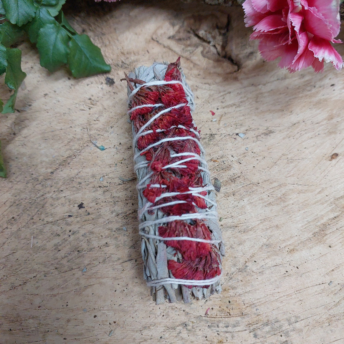 Chakra Sinuata & White Sage Smudge Stick